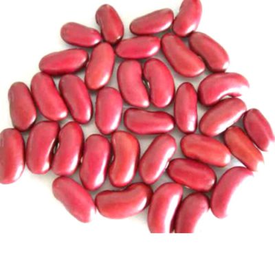 POROTOS COLORADOS