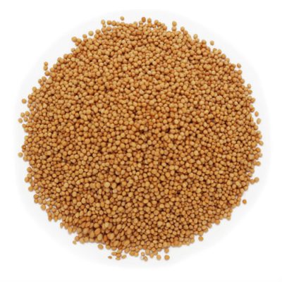 MOSTAZA EN GRANO
