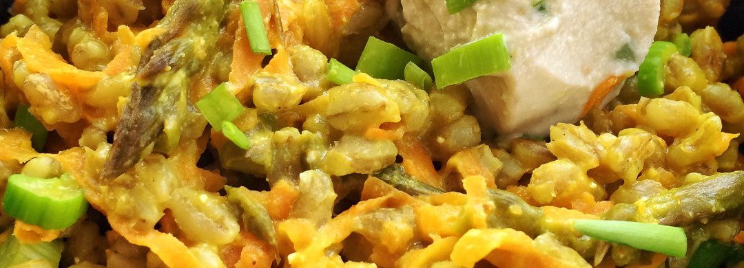 CURRY DE CEBADA & QUESO DE CAJÚ